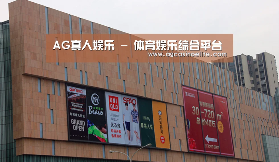 龙湖 · 金楠天街(图1)