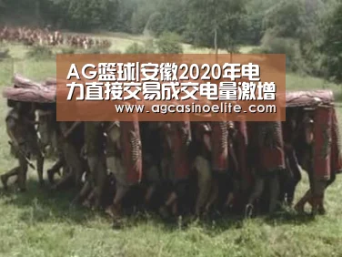 AG篮球|安徽2020年电力直接交易成交电量激增(图1) AG地址