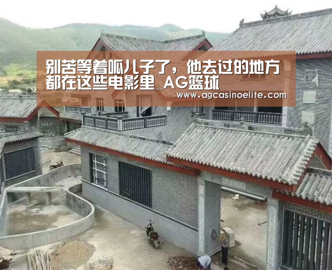 别苦等着呱儿子了,他去过的地方都在这些电影里_AG篮球(图3) AG棋牌