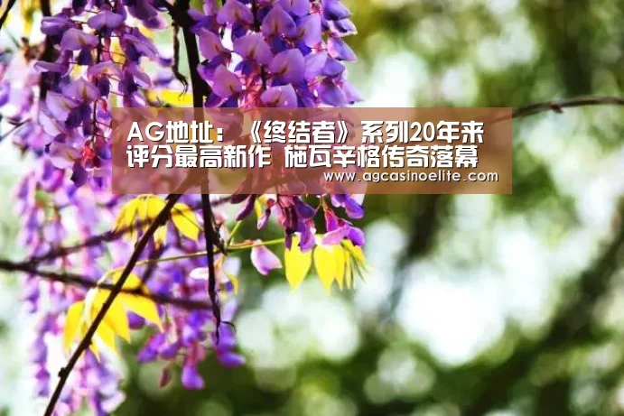 AG棋牌